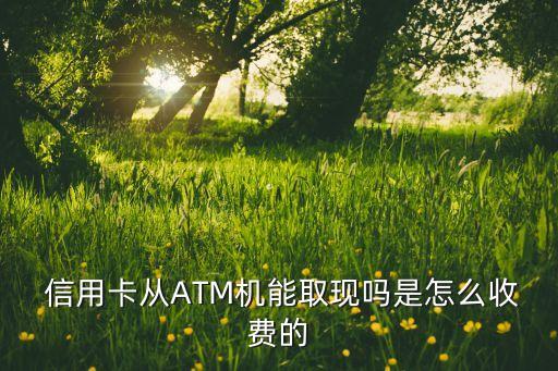  信用卡從ATM機(jī)能取現(xiàn)嗎是怎么收費的