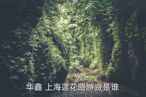 華鑫 上海蓮花路游資是誰