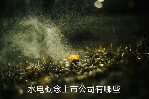 水電概念上市公司有哪些