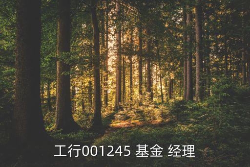 工行001245 基金 經(jīng)理