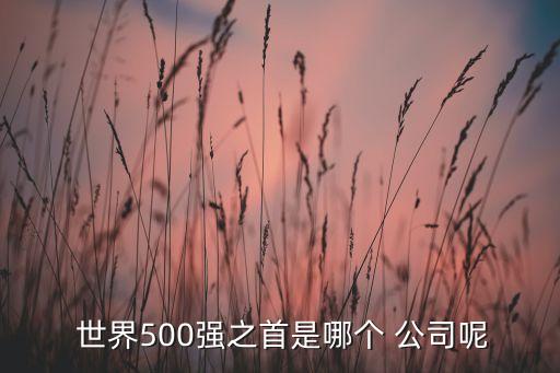  世界500強(qiáng)之首是哪個(gè) 公司呢