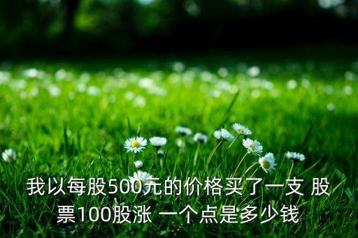 我以每股500元的價(jià)格買了一支 股票100股漲 一個(gè)點(diǎn)是多少錢