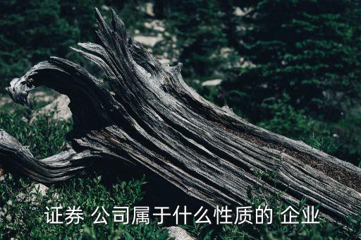  證券 公司屬于什么性質的 企業(yè)