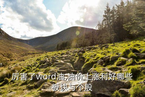 厲害了word油,油價上漲利好哪些板塊與個股