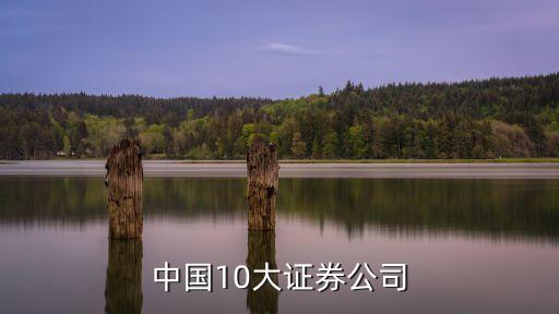 中國10大證券公司