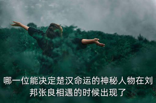 哪一位能決定楚漢命運(yùn)的神秘人物在劉邦張良相遇的時(shí)候出現(xiàn)了