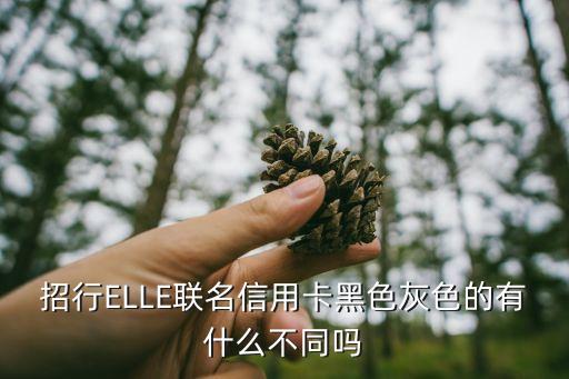 招行ELLE聯(lián)名信用卡黑色灰色的有什么不同嗎