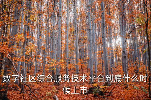 數(shù)字社區(qū)綜合服務技術平臺到底什么時候上市