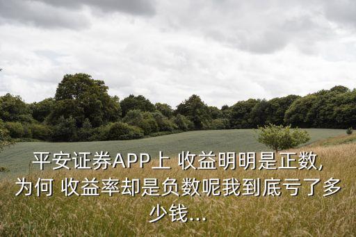 平安證券APP上 收益明明是正數(shù),為何 收益率卻是負(fù)數(shù)呢我到底虧了多少錢...