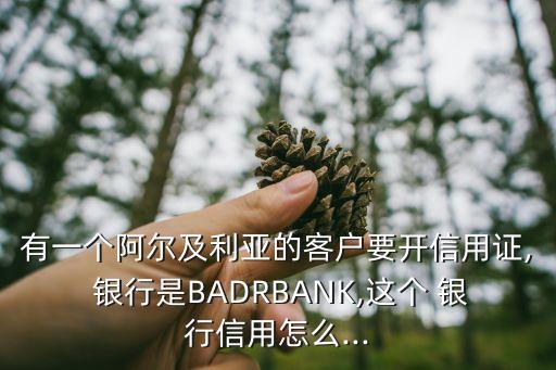 有一個(gè)阿爾及利亞的客戶要開(kāi)信用證, 銀行是BADRBANK,這個(gè) 銀行信用怎么...