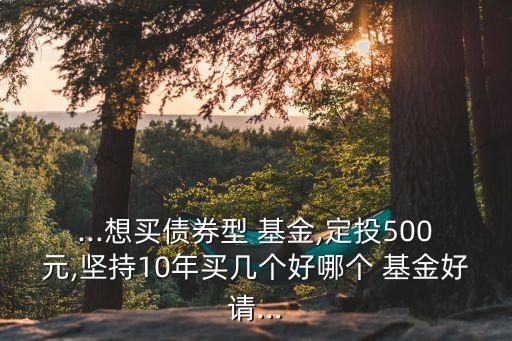 ...想買債券型 基金,定投500元,堅(jiān)持10年買幾個(gè)好哪個(gè) 基金好請(qǐng)...