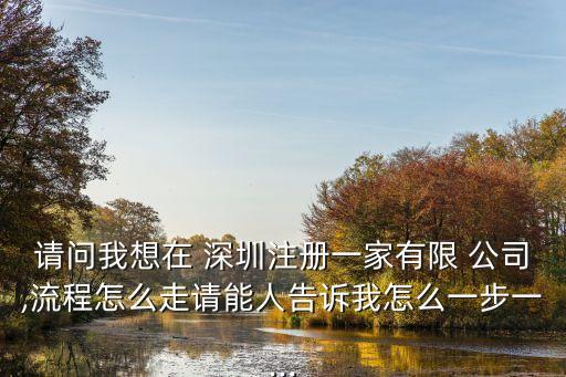 請問我想在 深圳注冊一家有限 公司,流程怎么走請能人告訴我怎么一步一...