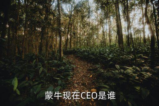  蒙牛現(xiàn)在CEO是誰