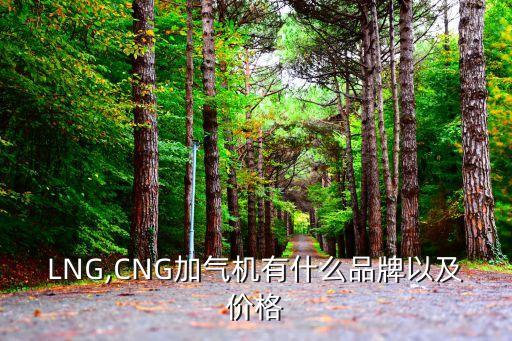 LNG,CNG加氣機有什么品牌以及價格