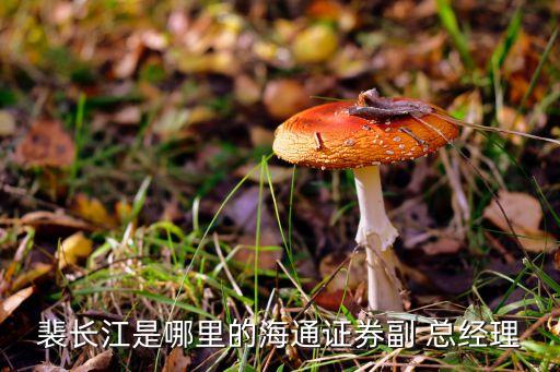 裴長(zhǎng)江是哪里的海通證券副 總經(jīng)理