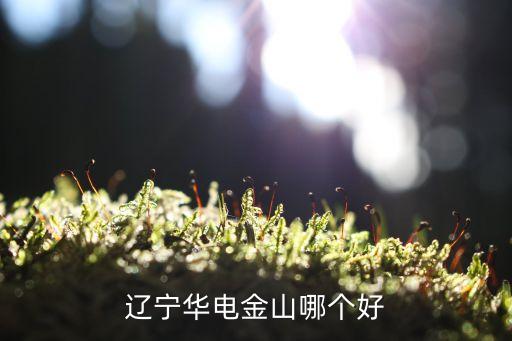 遼寧華電金山哪個好