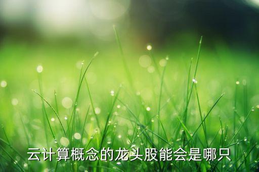 云計(jì)算概念的龍頭股能會是哪只