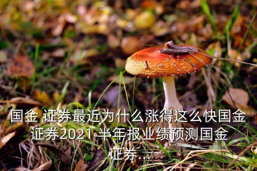 國金 證券最近為什么漲得這么快國金 證券2021 半年報業(yè)績預(yù)測國金 證券...