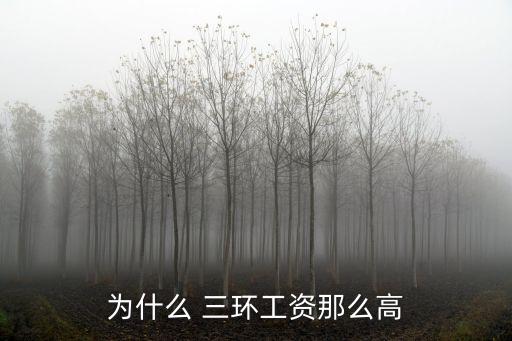 為什么 三環(huán)工資那么高