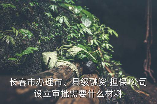 長(zhǎng)春市辦理市、縣級(jí)融資 擔(dān)保 公司設(shè)立審批需要什么材料