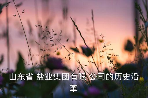 鹽業(yè)公司成立條件,成立鹽業(yè)公司需要什么手續(xù)