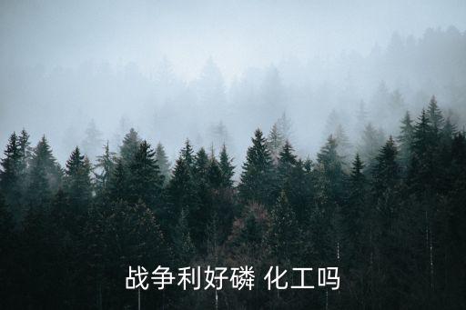 戰(zhàn)爭(zhēng)利好磷 化工嗎