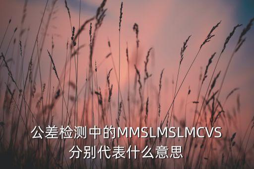 公差檢測(cè)中的MMSLMSLMCVS分別代表什么意思