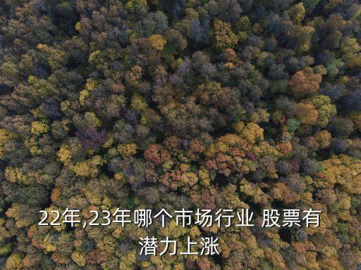 22年,23年哪個(gè)市場行業(yè) 股票有潛力上漲