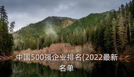 中國(guó)500強(qiáng)企業(yè)排名(2022最新名單