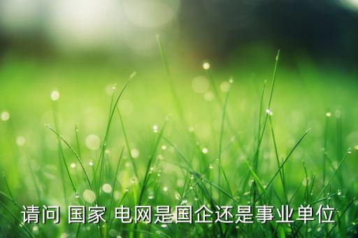 國家電網(wǎng)全資子公司