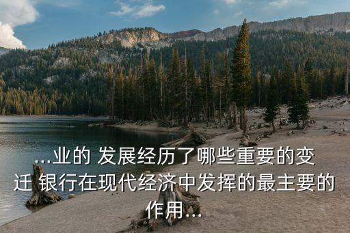 ...業(yè)的 發(fā)展經(jīng)歷了哪些重要的變遷 銀行在現(xiàn)代經(jīng)濟(jì)中發(fā)揮的最主要的作用...