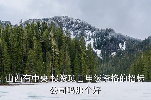 山西有中央 投資項(xiàng)目甲級資格的招標(biāo)公司嗎那個好