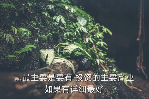 ...最主要是要有 投資的主要產(chǎn)業(yè)如果有詳細(xì)最好