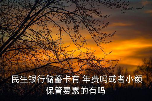  民生銀行儲(chǔ)蓄卡有 年費(fèi)嗎或者小額保管費(fèi)累的有嗎