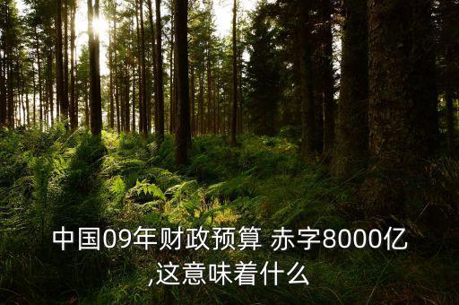 中國09年財政預算 赤字8000億,這意味著什么