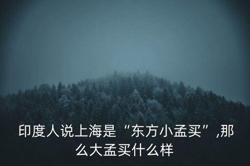  印度人說(shuō)上海是“東方小孟買”,那么大孟買什么樣