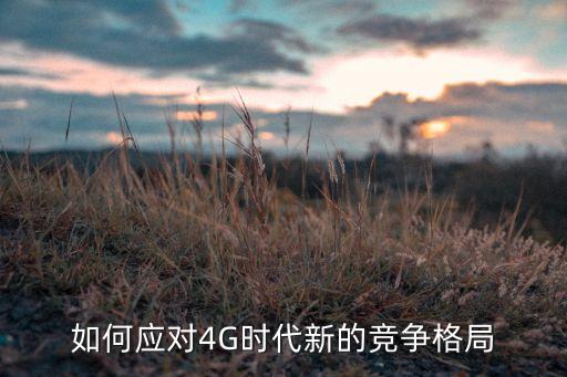 如何應(yīng)對4G時代新的競爭格局