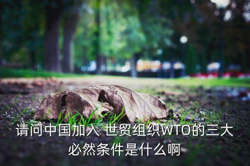 請問中國加入 世貿(mào)組織WTO的三大必然條件是什么啊