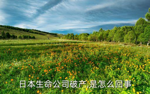 日本生命公司破產(chǎn),是怎么回事