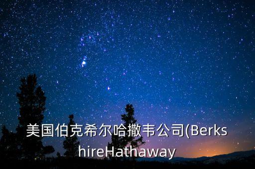 美國伯克希爾哈撒韋公司(BerkshireHathaway