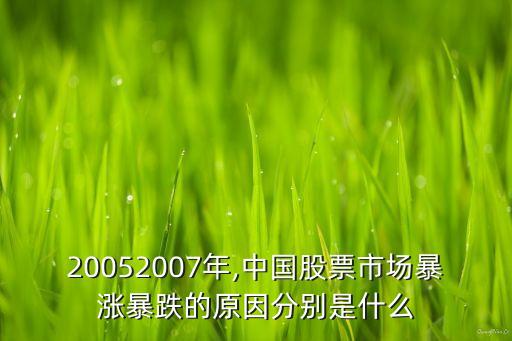 20052007年,中國股票市場暴漲暴跌的原因分別是什么