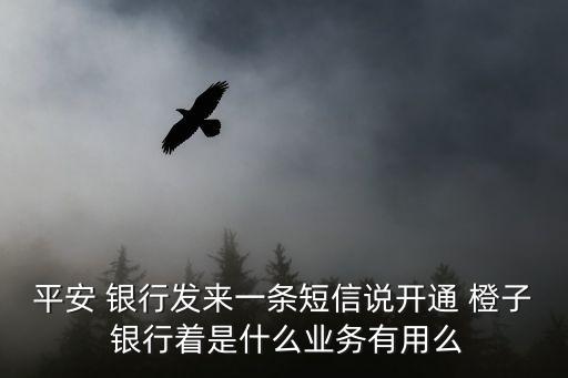 平安 銀行發(fā)來一條短信說開通 橙子 銀行著是什么業(yè)務有用么