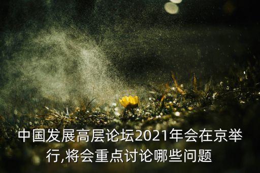 中國(guó)發(fā)展高層論壇2021年會(huì)在京舉行,將會(huì)重點(diǎn)討論哪些問(wèn)題