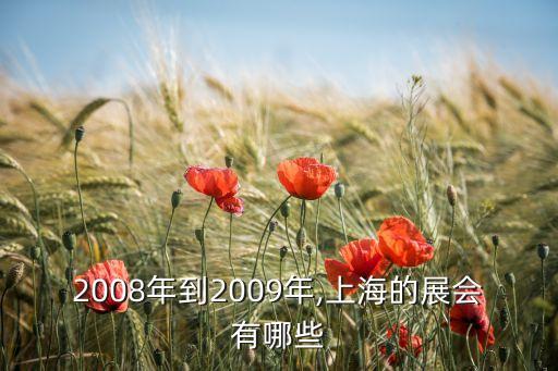 2008年到2009年,上海的展會有哪些