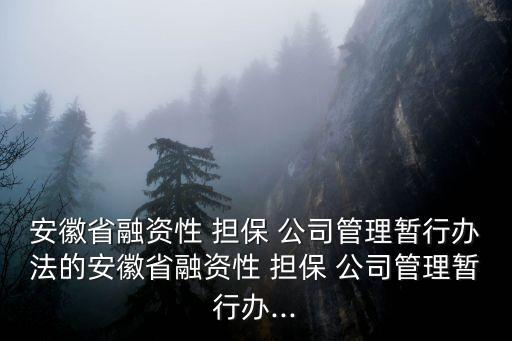 安徽省融資性 擔保 公司管理暫行辦法的安徽省融資性 擔保 公司管理暫行辦...