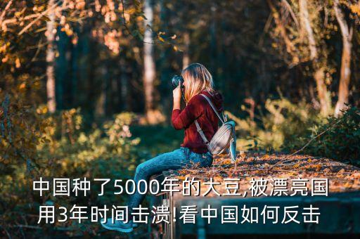 中國種了5000年的大豆,被漂亮國用3年時(shí)間擊潰!看中國如何反擊