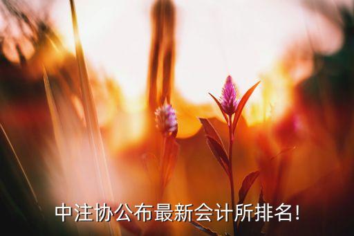 國富浩華會計師事務所上海分所,香港國富浩華會計師事務所