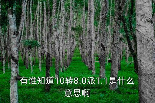 有誰(shuí)知道10轉(zhuǎn)8.0派1.1是什么意思啊