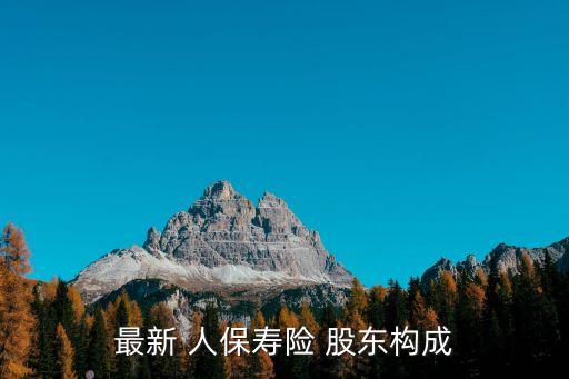 最新 人保壽險(xiǎn) 股東構(gòu)成