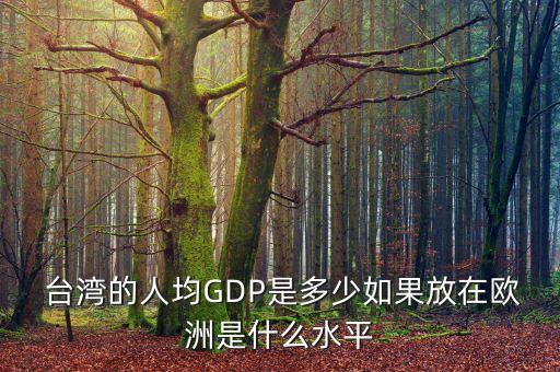  臺灣的人均GDP是多少如果放在歐洲是什么水平